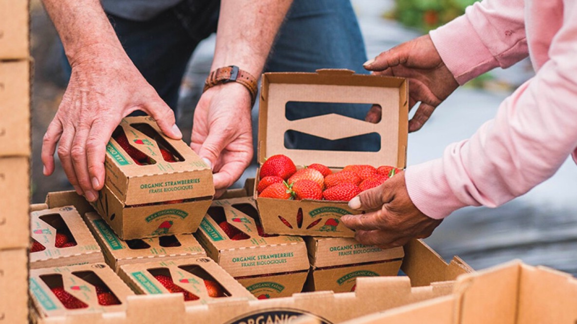 Искусство создания подарочных коробок: техники, идеи и мастерство ручной работы - 5